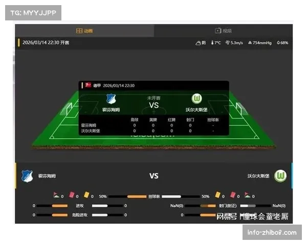 霍芬海姆1-1沃尔夫斯堡，普勒梅尔扳平比分